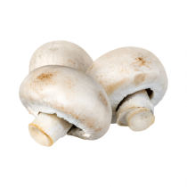 Champignon - الفطر