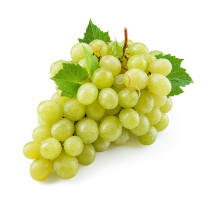 White Grapes