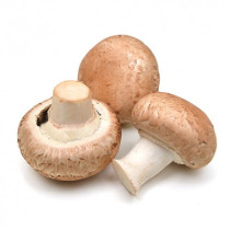 Champignon - الفطر