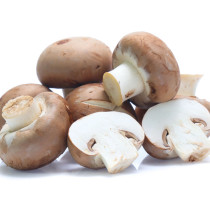 Champignon - الفطر