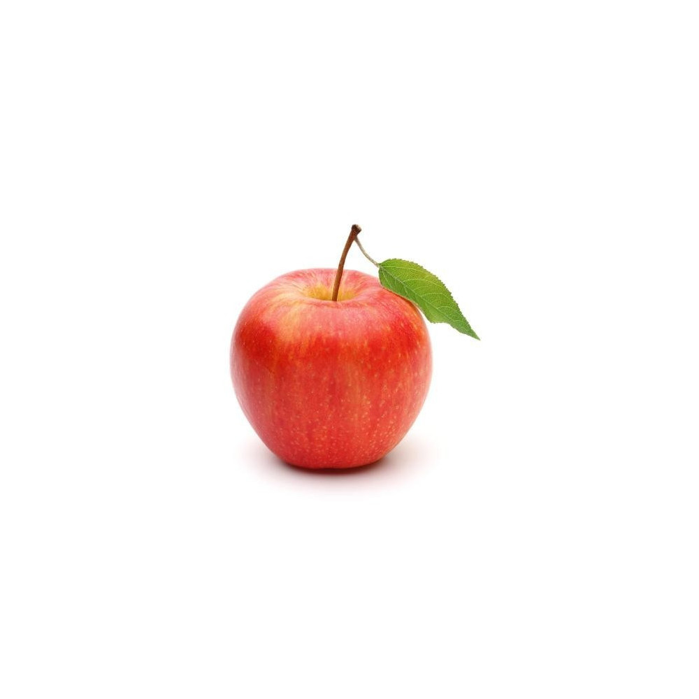 التفاح غالا